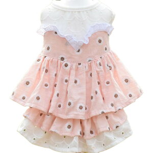  ybgEFA hbLOs[X hbOEFA LbgEFA  L ^ ps[ Ȃ ԕ tA p`O[X ّf t 킢  o U