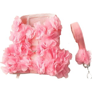  [h n[lX 2_Zbg xXgn[lX ybgObY ybgpi p Lp [V UR UObY o R ԕ t[vg [X  킢 