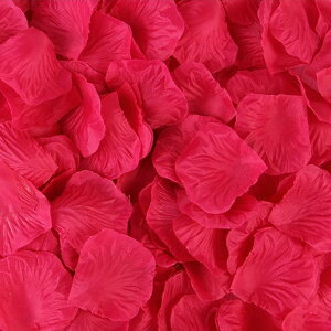  t[V[ Ԃт 1000Zbg    o A[gt[ t[y^ fR[V Ԑ  EGfBO p[eB Cxg TvCY DIY J