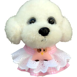  ybgpX^C 悾ꂩ XJ[t o_i  L ^ ^ [X t  ANZT[  hbOEFA  ru `[J[ ^b`obN TCY