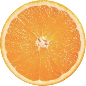   AtK uPbg Xqt 2_Zbg xr[ Ԃ V t[X ѕz g sU  Xe[L j[N ʔ  L[g xr[pi