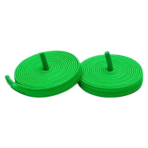 送料無料 靴紐 結ばない 靴ひも 2本セット バックル付き 平紐 シューレース 伸縮性 ゴム紐 スニーカー用 無地 シンプル カラバリ豊富