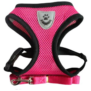  n[lX [h 2_Zbg ^  Ck ybgpi obN bV ʋC ˍ ߉\ U R [v