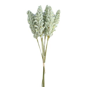    t[ x_[ 6{ Ԃ Vv  킢 JoLx F  rO t[AWg CeA