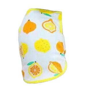  ybgp^Ngbv ybgpgbvX ybgEFA hbOEFA  ^ ^ Ck L lR ybgObY ybgpi m[X[u Ȃ vI[o[  t[c 