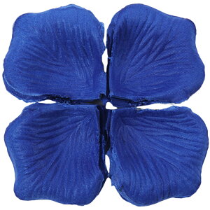  t[V[ Ԃт 100Zbg    o A[gt[ t[y^ fR[V Ԑ  EGfBO p[eB Cxg TvCY DIY J