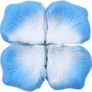  t[V[ Ԃт 100Zbg    o A[gt[ t[y^ fR[V Ԑ  EGfBO p[eB Cxg TvCY DIY J