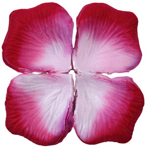  t[V[ Ԃт 100Zbg    o A[gt[ t[y^ fR[V Ԑ  EGfBO p[eB Cxg TvCY DIY J