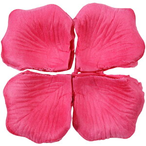  t[V[ Ԃт 100Zbg    o A[gt[ t[y^ fR[V Ԑ  EGfBO p[eB Cxg TvCY DIY J