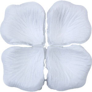  t[V[ Ԃт 100Zbg    o A[gt[ t[y^ fR[V Ԑ  EGfBO p[eB Cxg TvCY DIY J