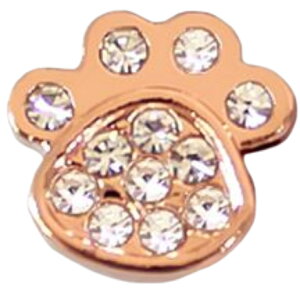  ANZT[p[c uXbg Pi `[ nhChp[c ANZT[ ޗ xg n[g    킢