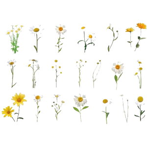 送料無料 シール フレークシール 40枚入り ステッカー 草花 野花 ボタニカル リーフ グリーン 押し花 フラワー DIY デコ ラッピング ギフト 包装 文房具 小物 雑貨 おしゃれ