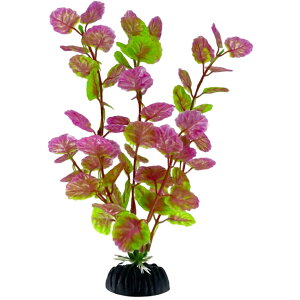  lH lHvc 20cm t pCAEg ANAEpi   CeA ANZT[ C~e[V 