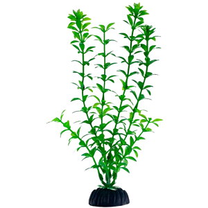  lH lHvc 20cm t pCAEg ANAEpi   CeA ANZT[ C~e[V 