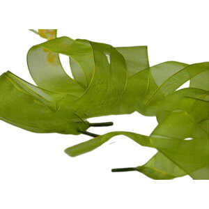  CЂ CR V[[X ڂ { fB[X V[ANZ I[KW[ L  ӂ 킢 Xj[J[ V[Y  JoLx