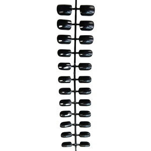  lC`bv  24Zbg 12TCY ̒ fB[X  lCA[g ZtlC nh    lq PF Vv lCObY