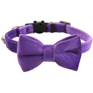  Lp lRp ybgpi Z[teB[obN { lN^C t  킢 ˂ Lbg J[ n PF xA `[J[ o ߂ ybgO