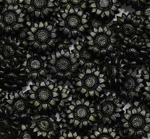  V[ObNX X V[OX^vpi 100Zbg   t[  Ђ܂  ҏ 莆