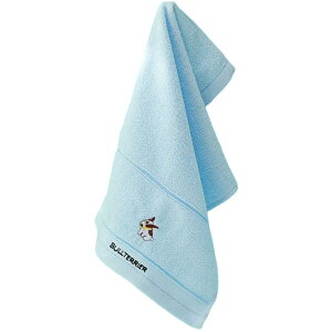  tFCX^I 25×45cm J[^I |CghJ hJ 킢  fC[ Mtg 蕨 v[g