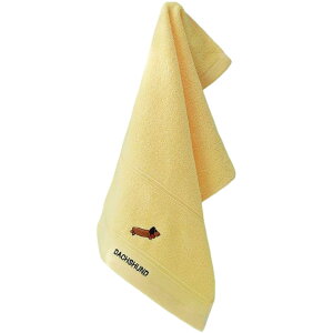  tFCX^I 25×45cm J[^I |CghJ hJ 킢  fC[ Mtg 蕨 v[g