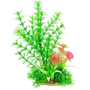  Mыp lH A  ANAE  CAEgpi tFCN Mы C IuWF   Ϗ܋