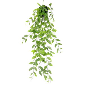  tFCNO[ lHϗtA    ݂艺 [t t   CeA Aؔ ͂Ȃ A  O rO  gC ʏ Q  