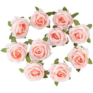   KN ΂ o 4Zbg tFCNt[ Ԃ̂ sȂ Ntg nhCh DIY |   ANZT[ RT[W  p[eB[ JoLx