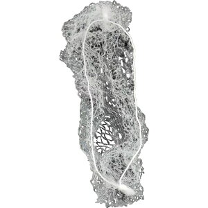  Vjlbg F10Zbg wAlbg cqlbg fB[X  wl wAANZT[ 50cm ܂Ƃߔ ˃lbg cqwA ˔ wAAW oG V̑ _