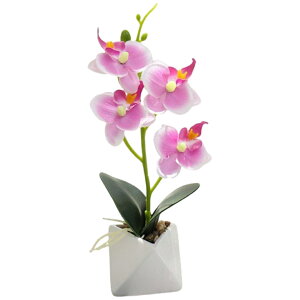   Ӓ R`E   A ~j|bg ~jA C~e[V tFCNt[  rO CeA IV Y ̓