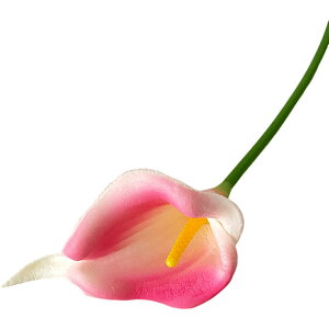   tFCNt[ lH lHt[  t[ ԑ  CeA t[AWg  ꂢ 킢