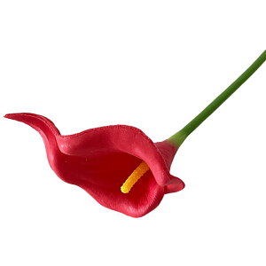   tFCNt[ lH lHt[  t[ ԑ  CeA t[AWg  ꂢ 킢