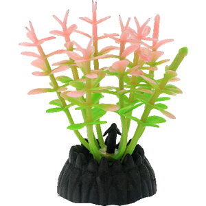  lH 3Zbg lHvc pCAEg yt  ANAEfR[V CeA ANZT[ IuWF I[ig pi CAEgpi 