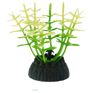  lH 3Zbg lHvc pCAEg yt  ANAEfR[V CeA ANZT[ IuWF I[ig pi CAEgpi 