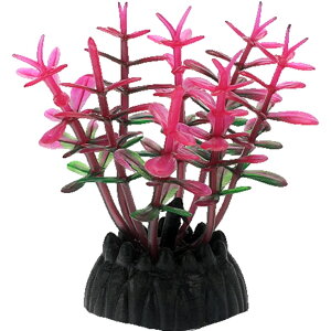  lH 3Zbg lHvc pCAEg yt  ANAEfR[V CeA ANZT[ IuWF I[ig pi CAEgpi 