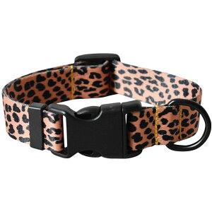   J[ ybgObY ybgpi p Lp ^ ^  킢  C{[  Jt GXjbN  􉽊w qE UObY o