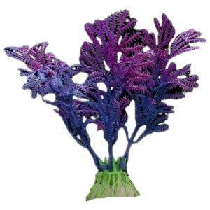  lH lHvc lHA vX`bN 10cm pA ANAE CAEg IuWF  I[ig ybgpi Mы ӏ܋