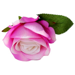   tFCNt[ Pi 1{ o t[AWg A[eBtBVt[ A[gtA[ ԏ  CeAG tHg ʐ^Be ̓ v[g Mt