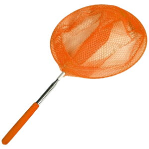 �������� �^���� �ʖ� �q�� ������ �ߊl�� �ߒ��� �����l�b�g �L�k�� ���߉\ �V���v�� ����� �����̏W �ċx�� ��V�� �A�E�g�h�A �J���o���L�x �A�~ ���� ���O�c�[�� �� �� �� ���F