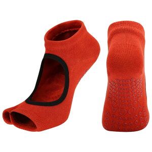  K\bNX ܐȂ wʂ C fB[X   V[g\bNX Ԃ ɂ Vv K tBbglX W seBX