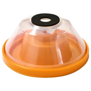  dChp_XgJo[ dChWo@ hoJo[ hoJbv WoJo[ Wo@ dCn}[ RN[gh _Xg HpANZT[ DIYpi mY AbV{E