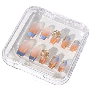 送料無料 ネイルチップケース 同サイズ2個セット ネイルアート 収納 保管 小物入れ アクセサリーケース ハンドメイド ジェルネイル 付け爪 つけ爪 クリア 透明 クリアケース ギフトケース