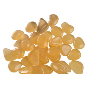    50Zbg ANAEpi p  ~   Mы  ԕr u  Jt Xg[  ꂢ  