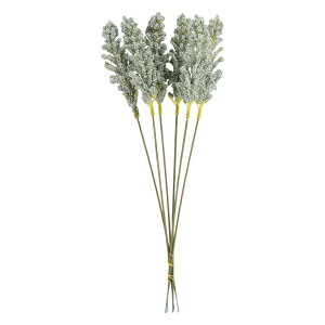   tFCNt[    t[ 1 6{ ԏ A[eBtBVt[ A[gt[ CeAG t[AWg lH ͂Ȃ j v[g