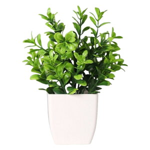  lHϗtA tFCNO[  Aؔ  ͂Ȃ A |bgt A u u  Mtg v[g 蕨 CeA