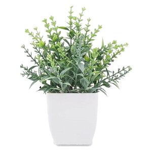  lHϗtA tFCNO[  Aؔ  ͂Ȃ A |bgt A u u  Mtg v[g 蕨 CeA