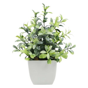  lHϗtA tFCNO[  Aؔ  ͂Ȃ A |bgt A u u  Mtg v[g 蕨 CeA