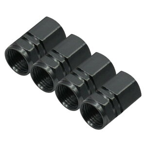  GAouLbv ^CouLbv 4Zbg GA[ou ԗpi J[pi ouJo[ LbvJo[ Op[c ubN  JX^ AW  