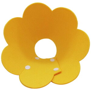  GUxXJ[ ybgp p Lp ^ \tg _炩 z Xibv{^ p rߖh~ 畆ی 킢 