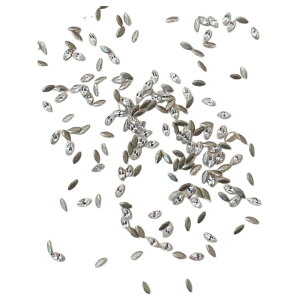  lCp[c CXg[ 50 lCA[gpi ZtlC fRp[c LL rW[ lCObY X^[ n[g XNGA hbv T[N