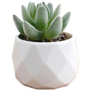  tFCNO[  CeAG u   A ^  p O[ sN CG[  L[g  i` {^jJ